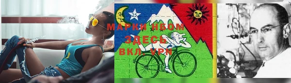 трава Беломорск
