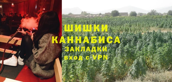 молекула духа Белокуриха