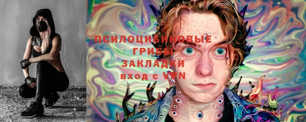 молекула духа Белокуриха