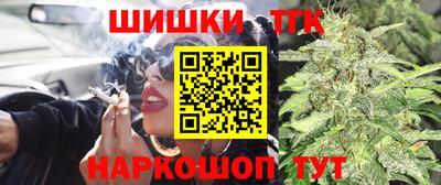 индика Обь