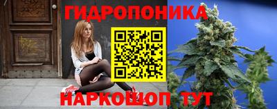 индика Обь