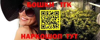 индика Обь