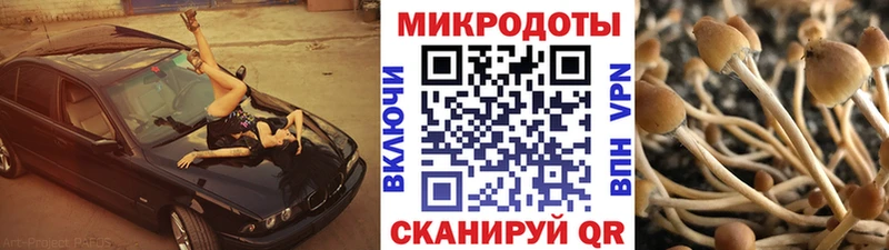 Галлюциногенные грибы MAGIC MUSHROOMS  цена наркотик  Пыть-Ях 